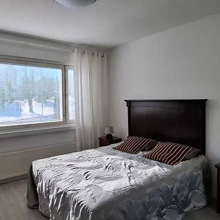 Sairaalakatu, Laemmin Saehkoeistetty Autotalli Sisaeltyy Hintaan Apartamento